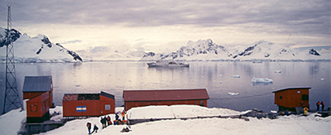 cruise to Antarctica