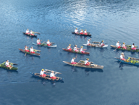 Captain Cook Cruises 