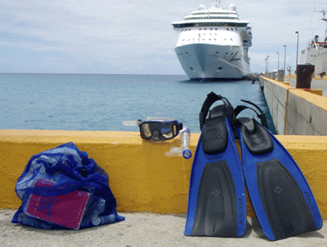 A Caribbean cruise with Julie Rekai Rickerd